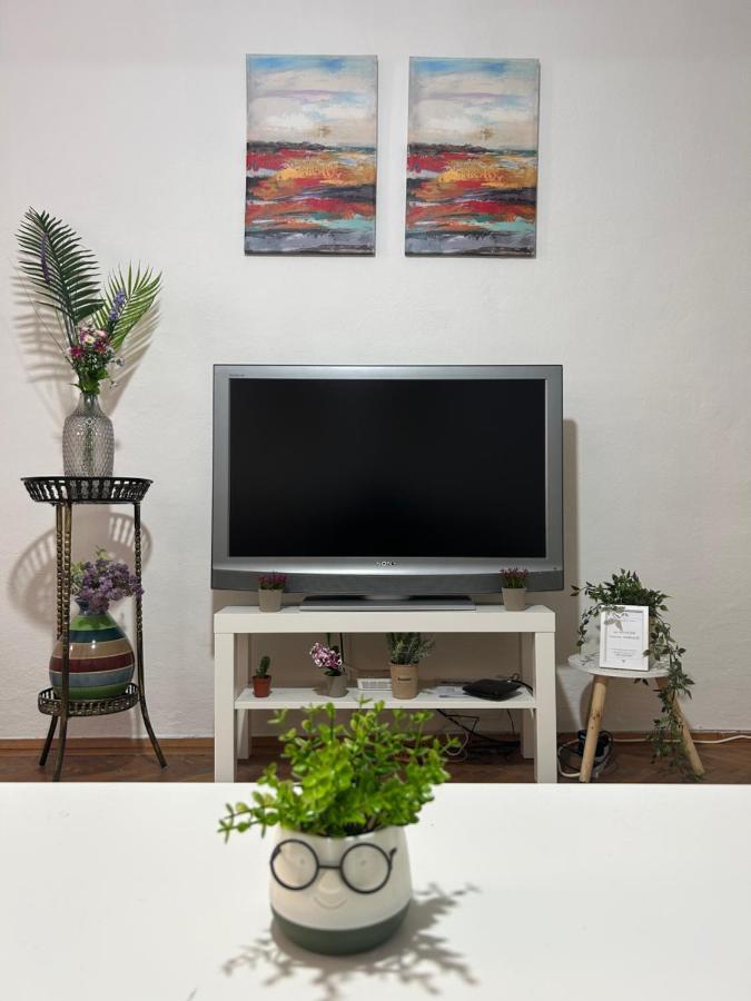 Nf'S Home Lovely Apartment In Heart Of Сараево Екстериор снимка