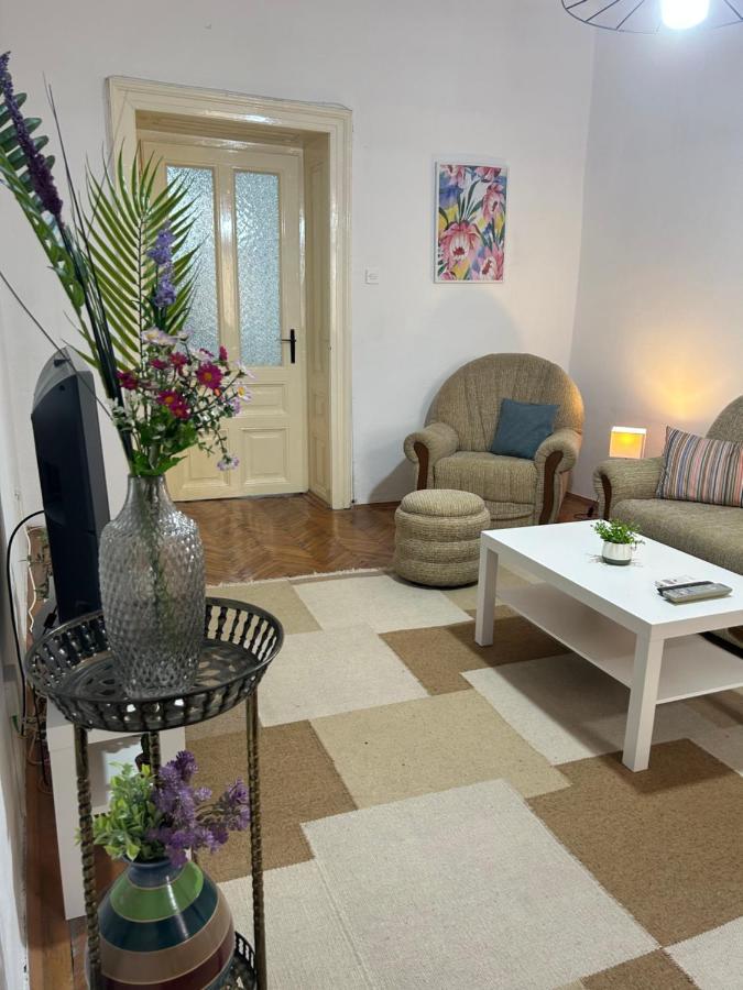 Nf'S Home Lovely Apartment In Heart Of Сараево Екстериор снимка